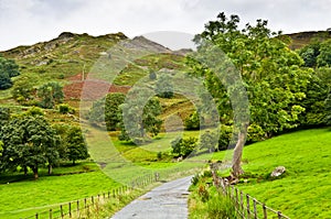 Pathway under Loughrigg Fell photo