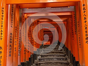 Pathway under the Torii Gate of Fushi Inari Shrine