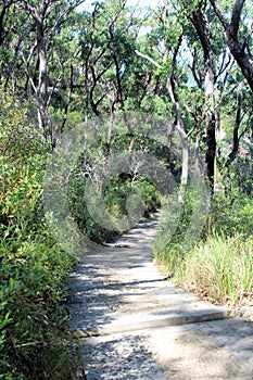 Pathway up to the Barrenjoey Lighthouse