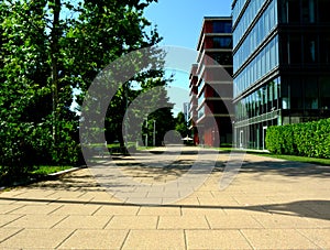 Pathway in urban environment with lush green trees and hedge and modern glass office buildings