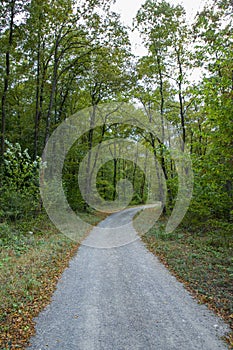 Pathway walking path in the forest in autumn