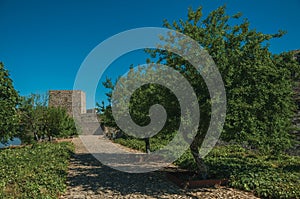 Pathway and wall in a lawn garden with trees at the Marvao Castle