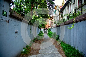 A pathway between walls