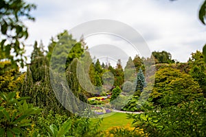 A pathway in a well tended garden, taken with tilt-shift effect.