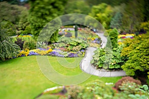 A pathway in a well tended garden, taken with tilt-shift effect.