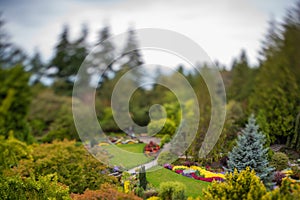 A pathway in a well tended garden, taken with tilt-shift effect.