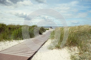 Pathway at white beach with green dune grass at Baltic sea in north Germany