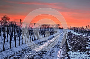 Pathway in winter evening