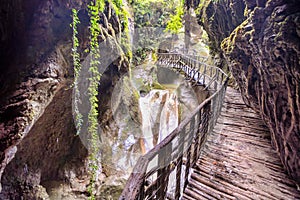 Pathway Wooden Footbridge