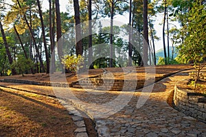 Pathways in park. Montenegro, view of of botanical garden in Tivat city