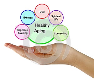 Pathways to Healthy Aging photo