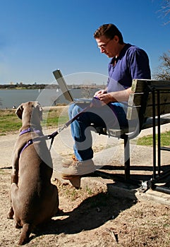 Pazienza il cane sta aspettando uomo per affari sul computer portatile 