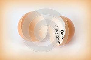 Patience concept with egg shell photo