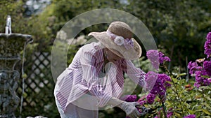 Patience and perfection. Trimming the flowers in a splendid garden.