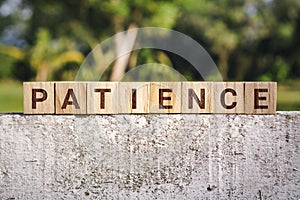 Patience Word on Wooden Block photo