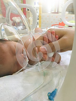 Patient new born baby in incubator.