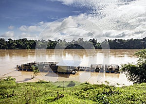 Patin fish cage breeding at a river