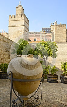 Patio Alcazar in Jerez