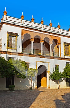 Patio of Casa de Pilatos - Seville Spain photo