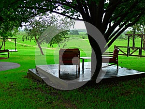 Patio chairs and table under a large, sheltering tree on a rainy day, rural NSW, Australia.