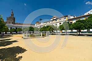 Patio de Banderas