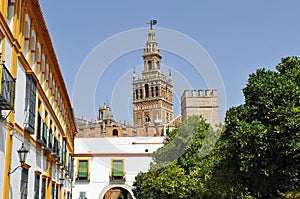 Patio de Banderas and the Giralda Tower, Seville, Andalusia, Spain