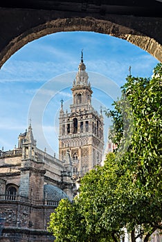 The Patio de Banderas in Seville, Spain