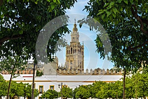 The Patio de Banderas in Seville, Spain