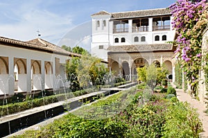 Patio de la Acequia inside the Generalife Gardens photo