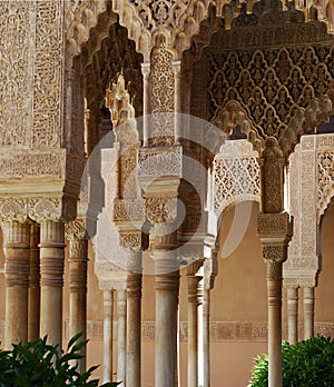 Patio de Los Leones photo