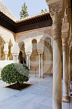 Patio de los Leones, Patio of the Lion, in the Palacios Nazaries. Alhambr photo