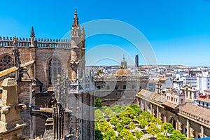 Patio de los naranjos at the cathedral viewed from Giralda tower in Sevilla, Spain photo