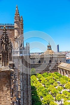 Patio de los naranjos at the cathedral viewed from Giralda tower in Sevilla, Spain photo