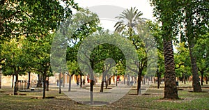 Patio de los Naranjos at the Mezquita of Cordoba photo