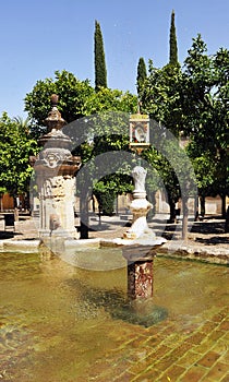 Patio de los Naranjos at Mosque in Cordoba, Spain photo