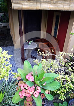 Patio furniture of a balinese garden