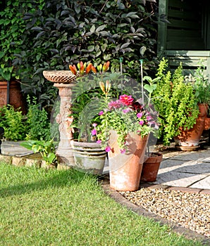 Patio garden area with Birdbath