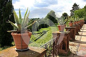 Patio of Pompeiianum