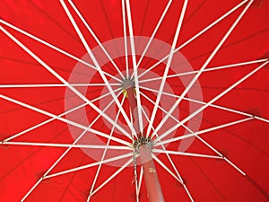 Patio Umbrella