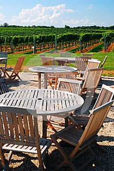 Patio on the Vineyard