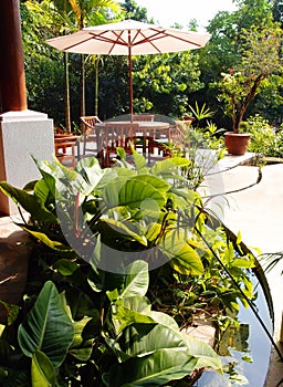 Patio with water landscaping