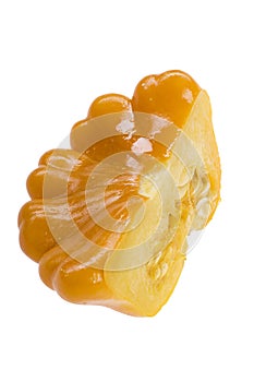 Patison isolated on white background