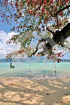 Patong Beach photo
