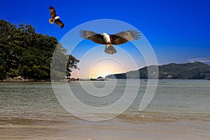 Patong Beach Phuket Thailand nice white sandy beach clear blue and turquoise waters and lovely blue skies