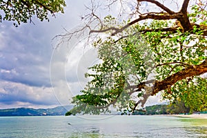 Patong paradise beach phuket ,Thailand