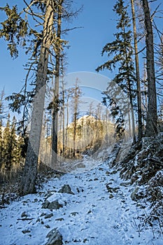 Vrch Patria, Vysoké Tatry, Slovensko