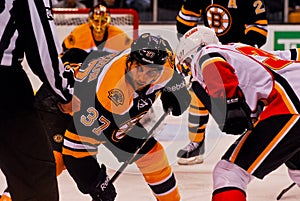 Patrice Bergeron Boston Bruins
