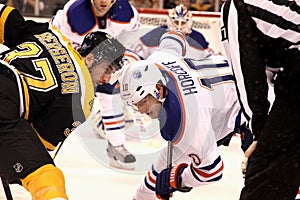 Patrice Bergeron v. Shawn Horcoff (NHL Hockey)