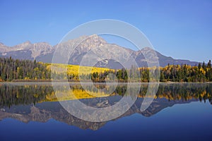 Patricia Lake in Jasper national Park in autumn season