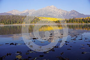 Patricia Lake in Jasper national Park in autumn season